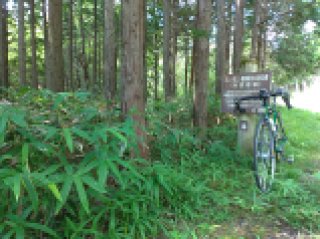 牧杉谷林道のぼり口