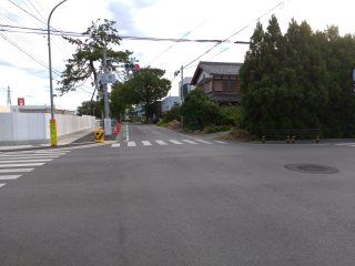 中山道の並木道